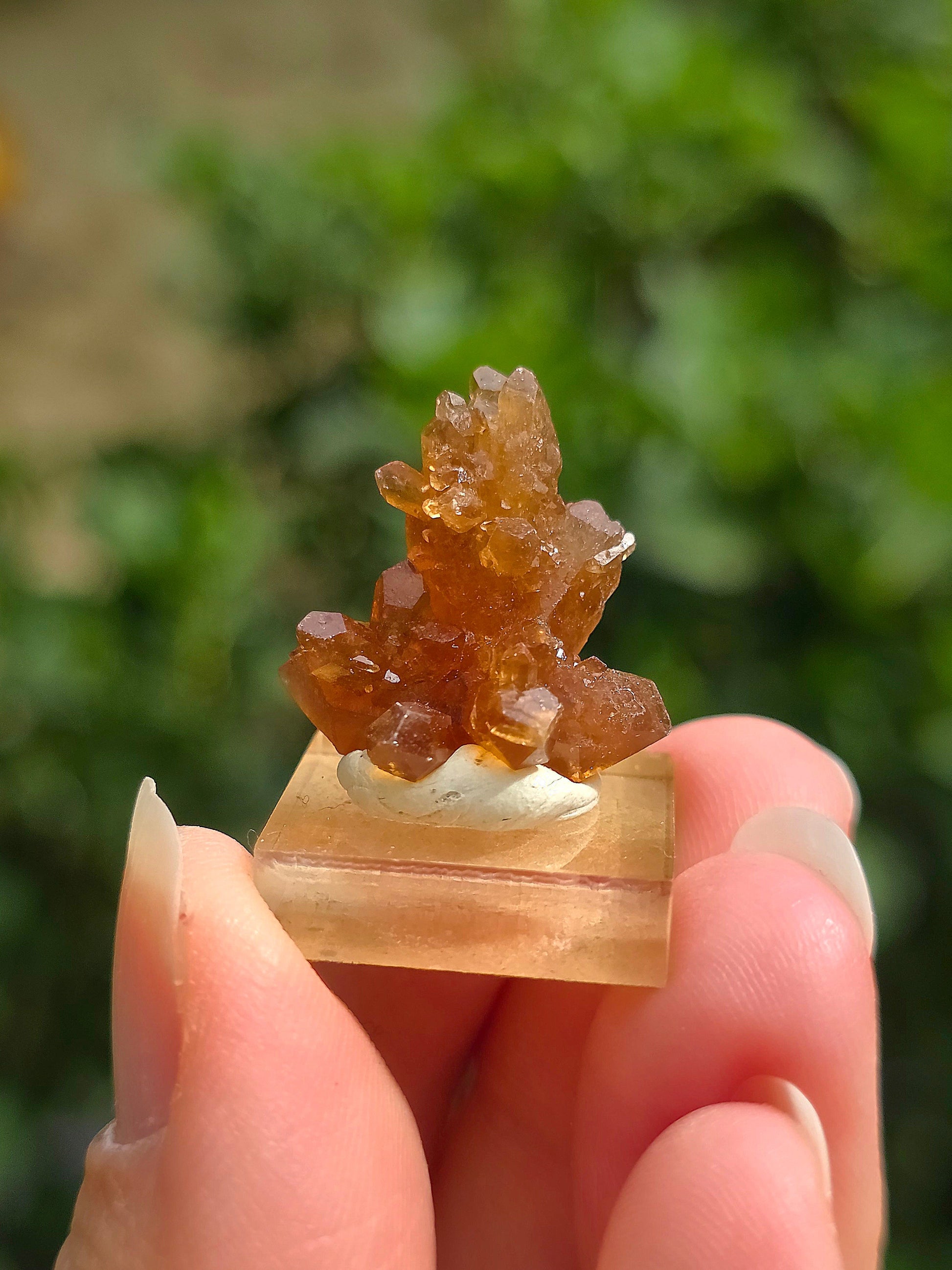 Quartz "citrine" ou "fleur de citrine" du Maroc
