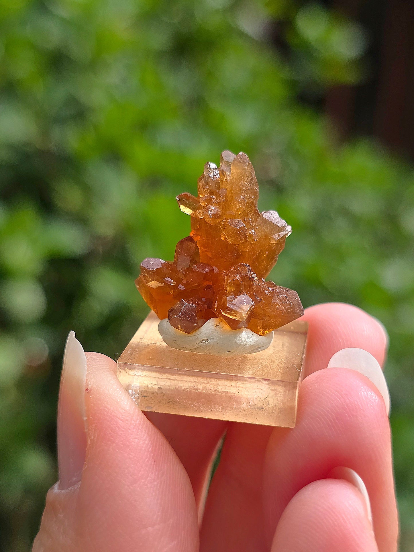 Quartz "citrine" ou "fleur de citrine" du Maroc