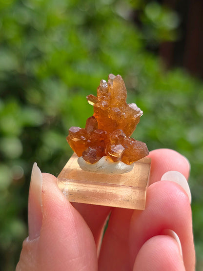 Quartz "citrine" ou "fleur de citrine" du Maroc