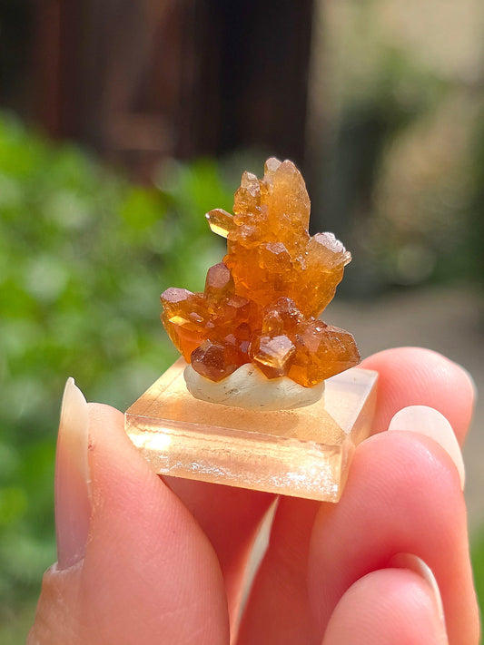 Quartz "citrine" ou "fleur de citrine" du Maroc