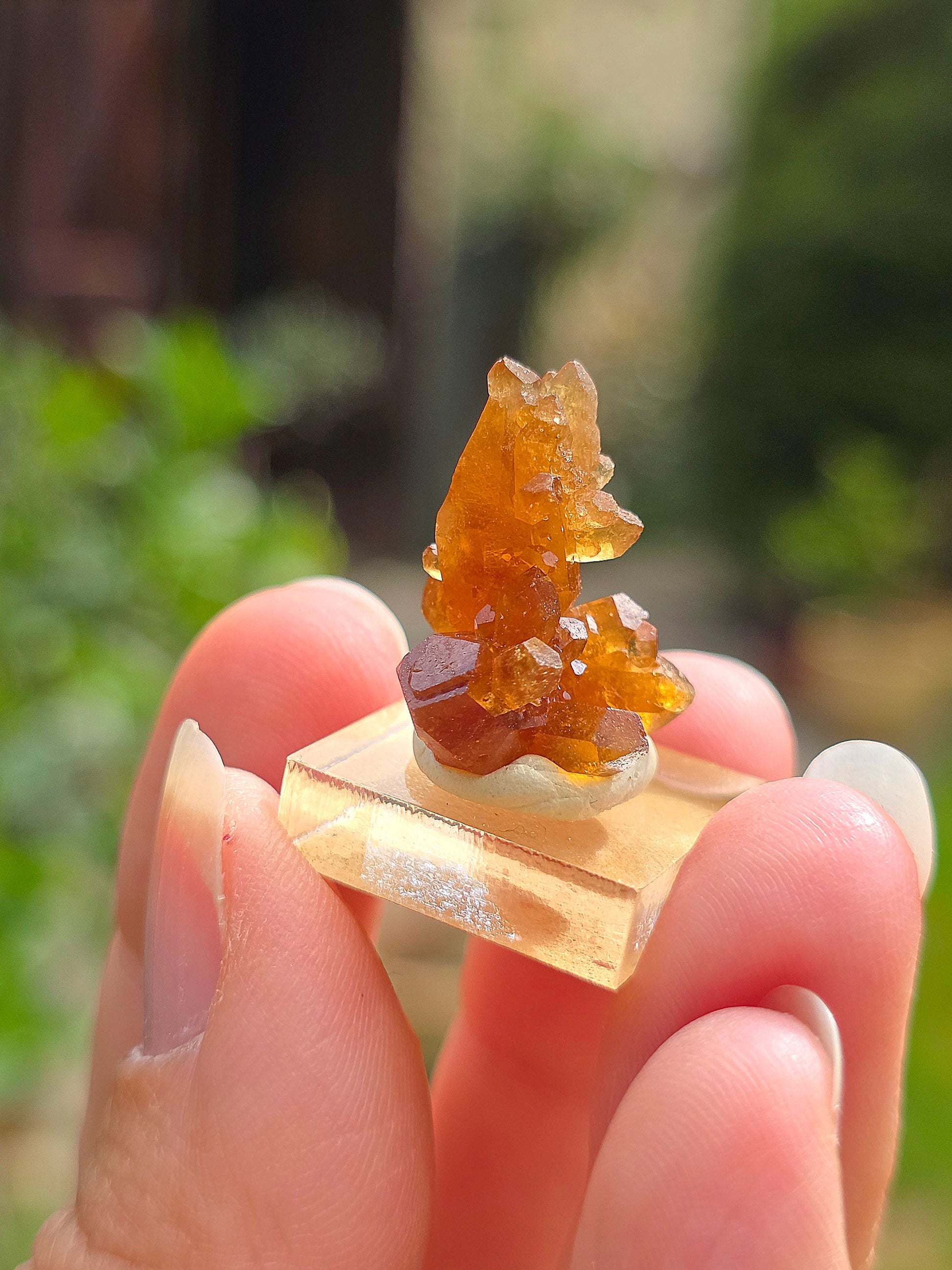 Quartz "citrine" ou "fleur de citrine" du Maroc