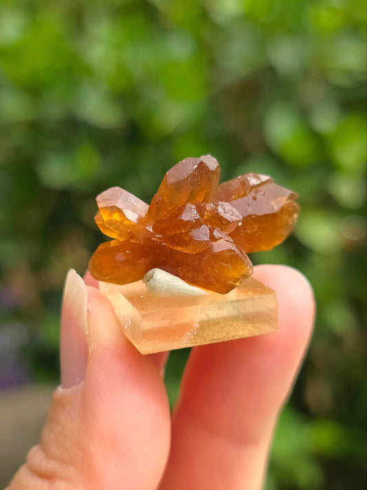 Quartz "citrine" ou "fleur de citrine" du Maroc