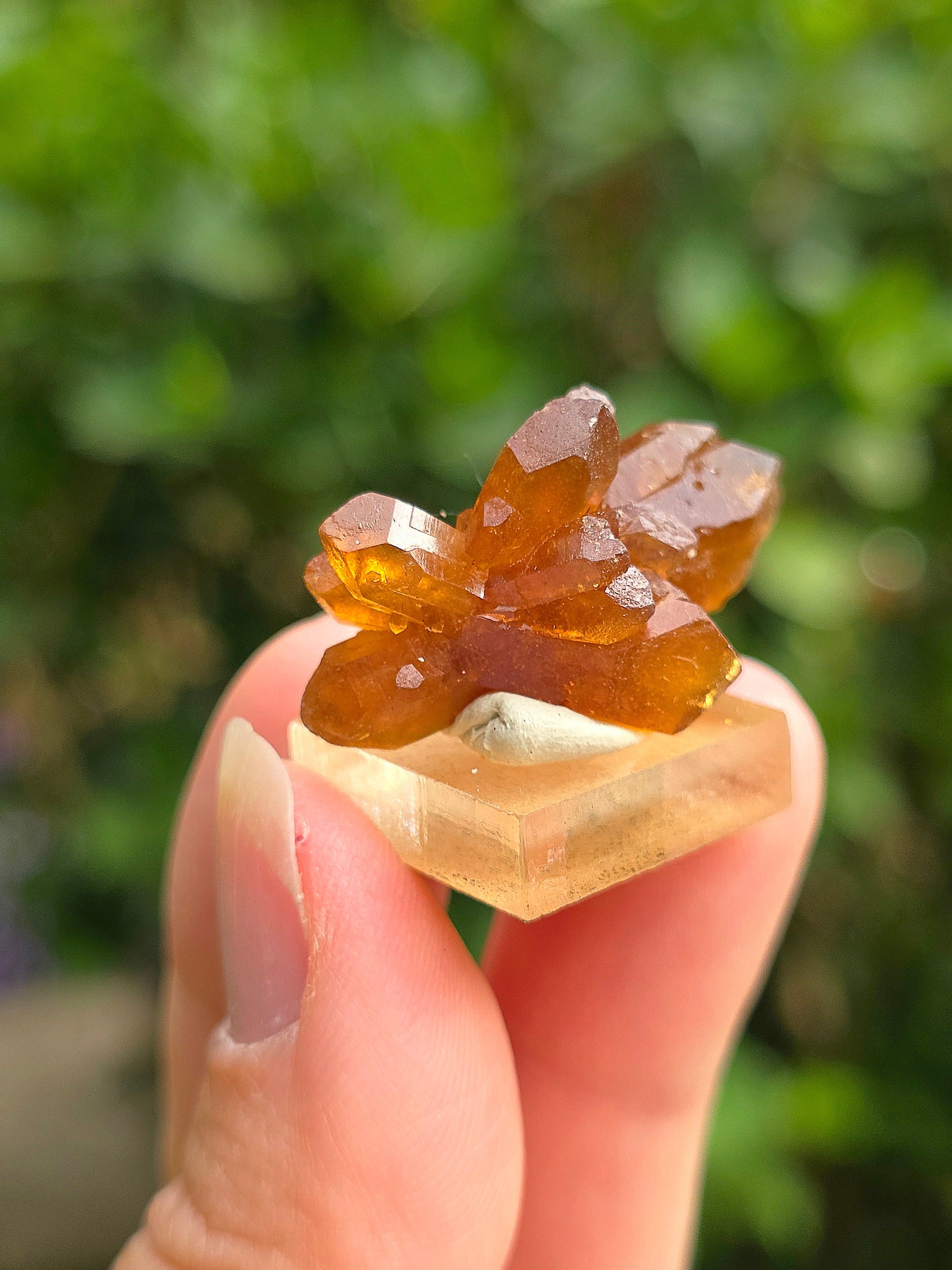Quartz "citrine" ou "fleur de citrine" du Maroc