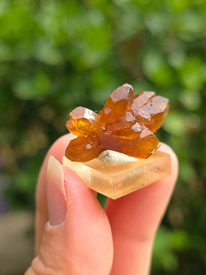 Quartz "citrine" ou "fleur de citrine" du Maroc
