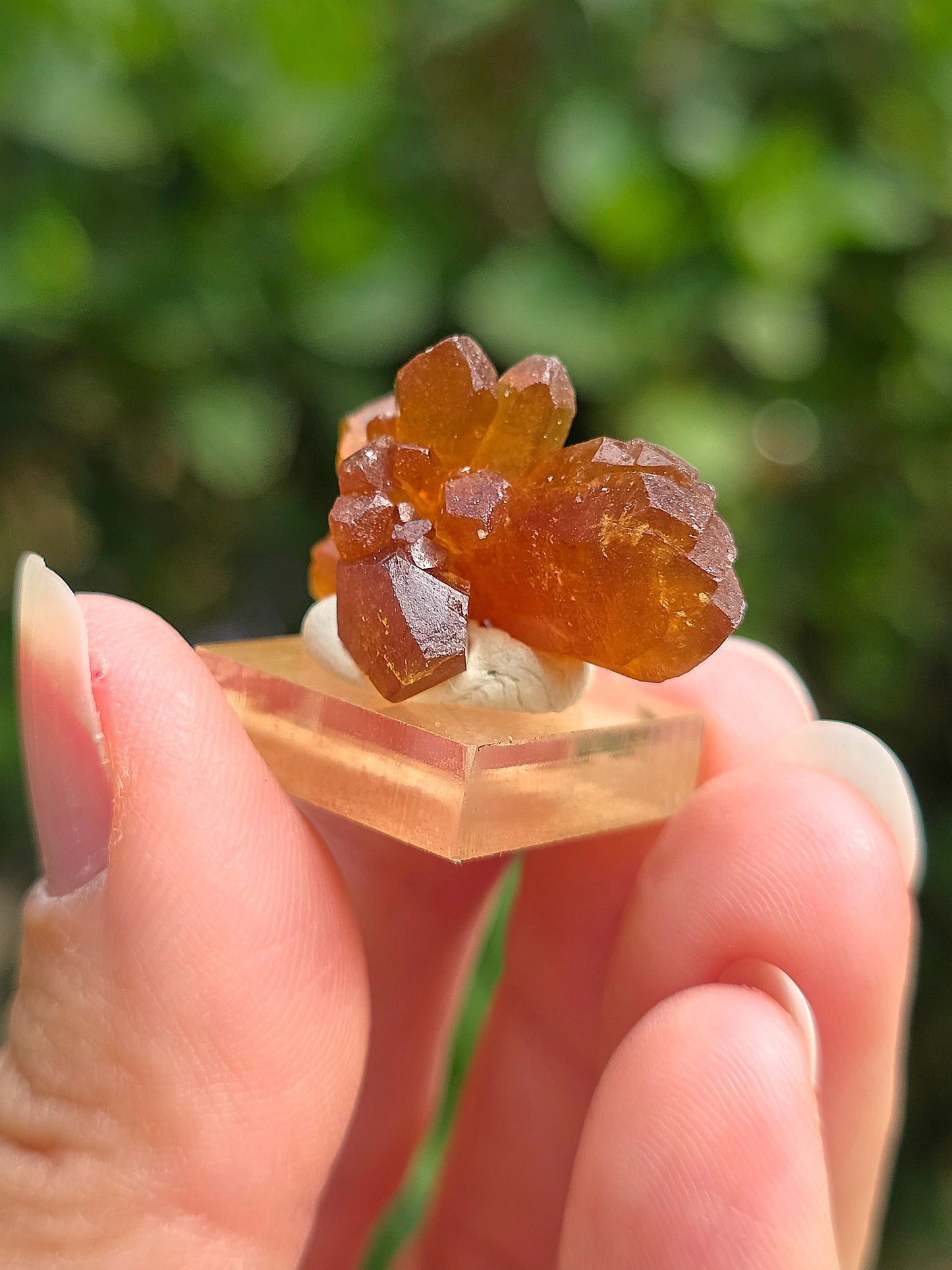 Quartz "citrine" ou "fleur de citrine" du Maroc