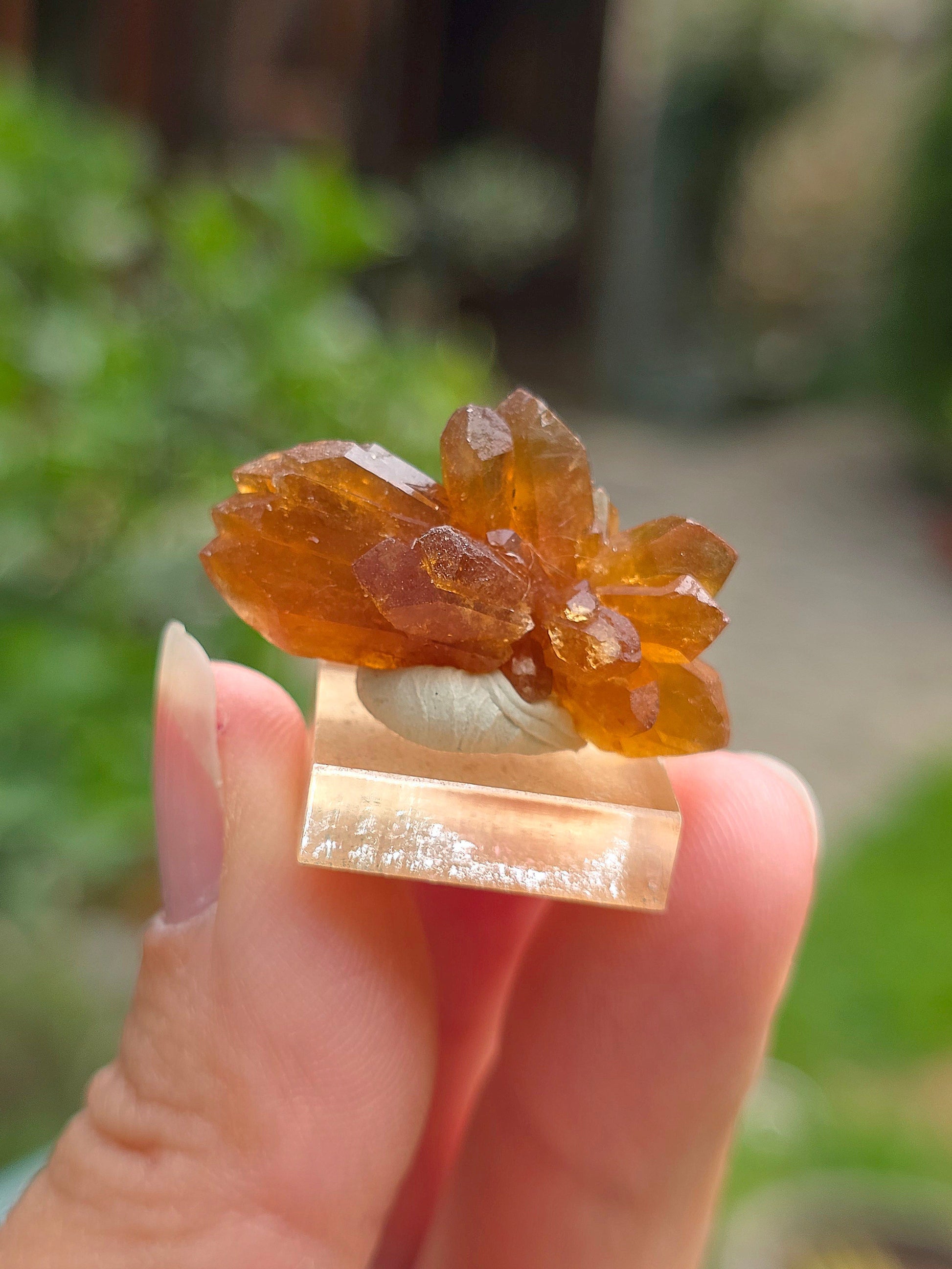 Quartz "citrine" ou "fleur de citrine" du Maroc