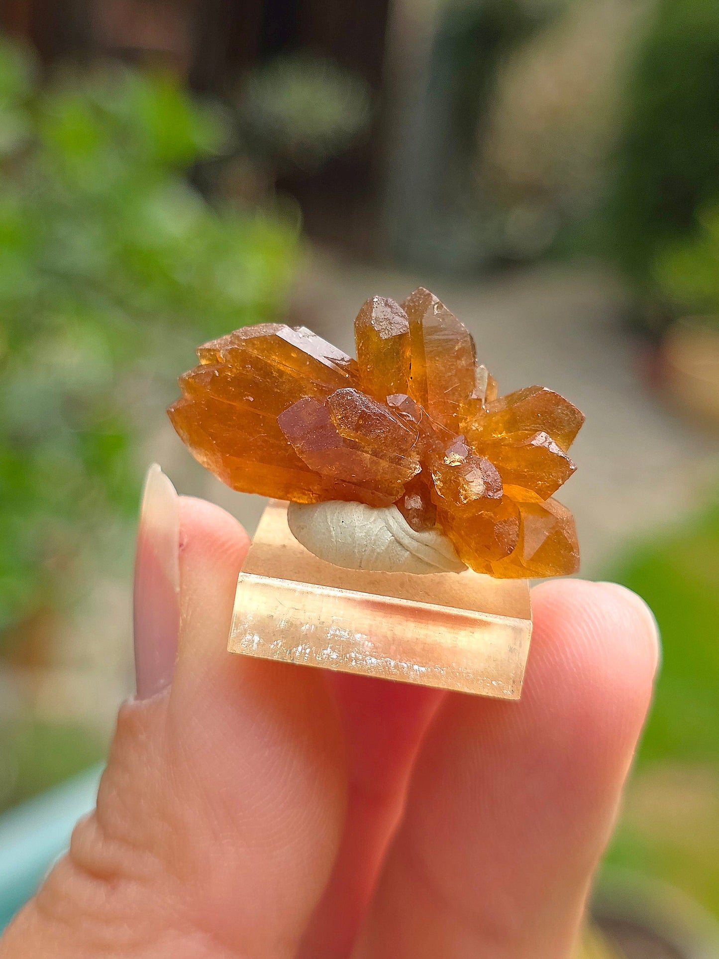 Quartz "citrine" ou "fleur de citrine" du Maroc