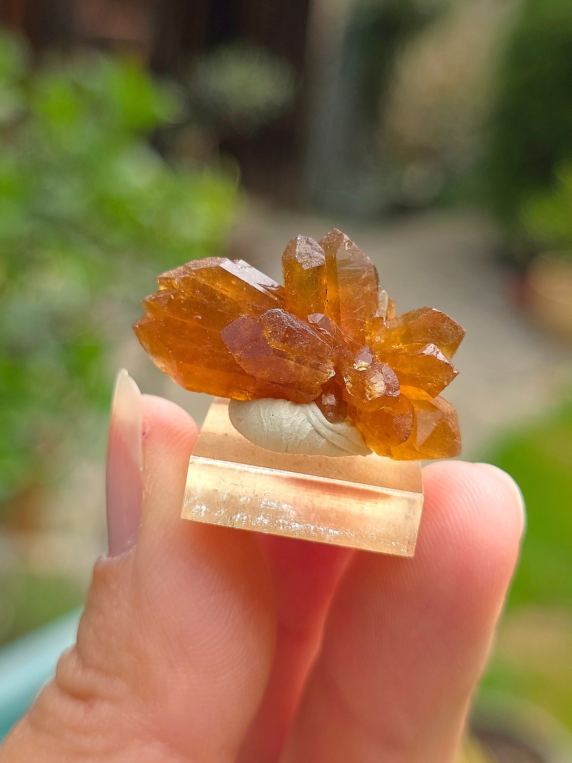 Quartz "citrine" ou "fleur de citrine" du Maroc