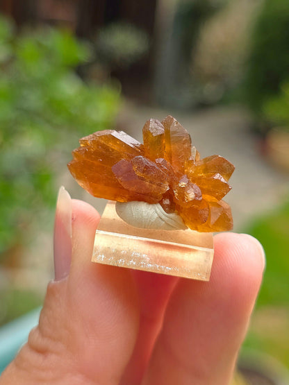 Quartz "citrine" ou "fleur de citrine" du Maroc