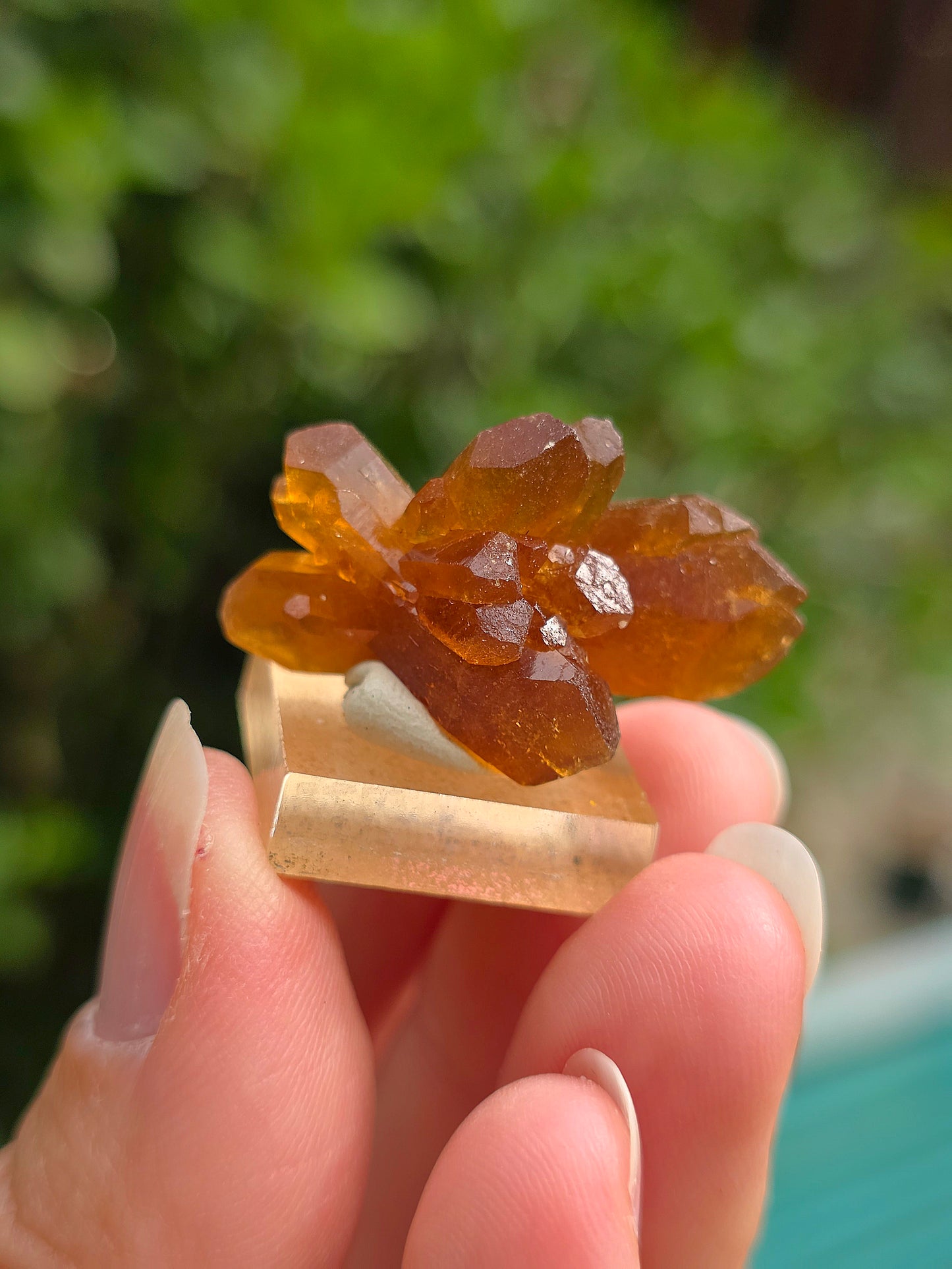 Quartz "citrine" ou "fleur de citrine" du Maroc