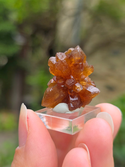 Quartz "citrine" ou "fleur de citrine" du Maroc