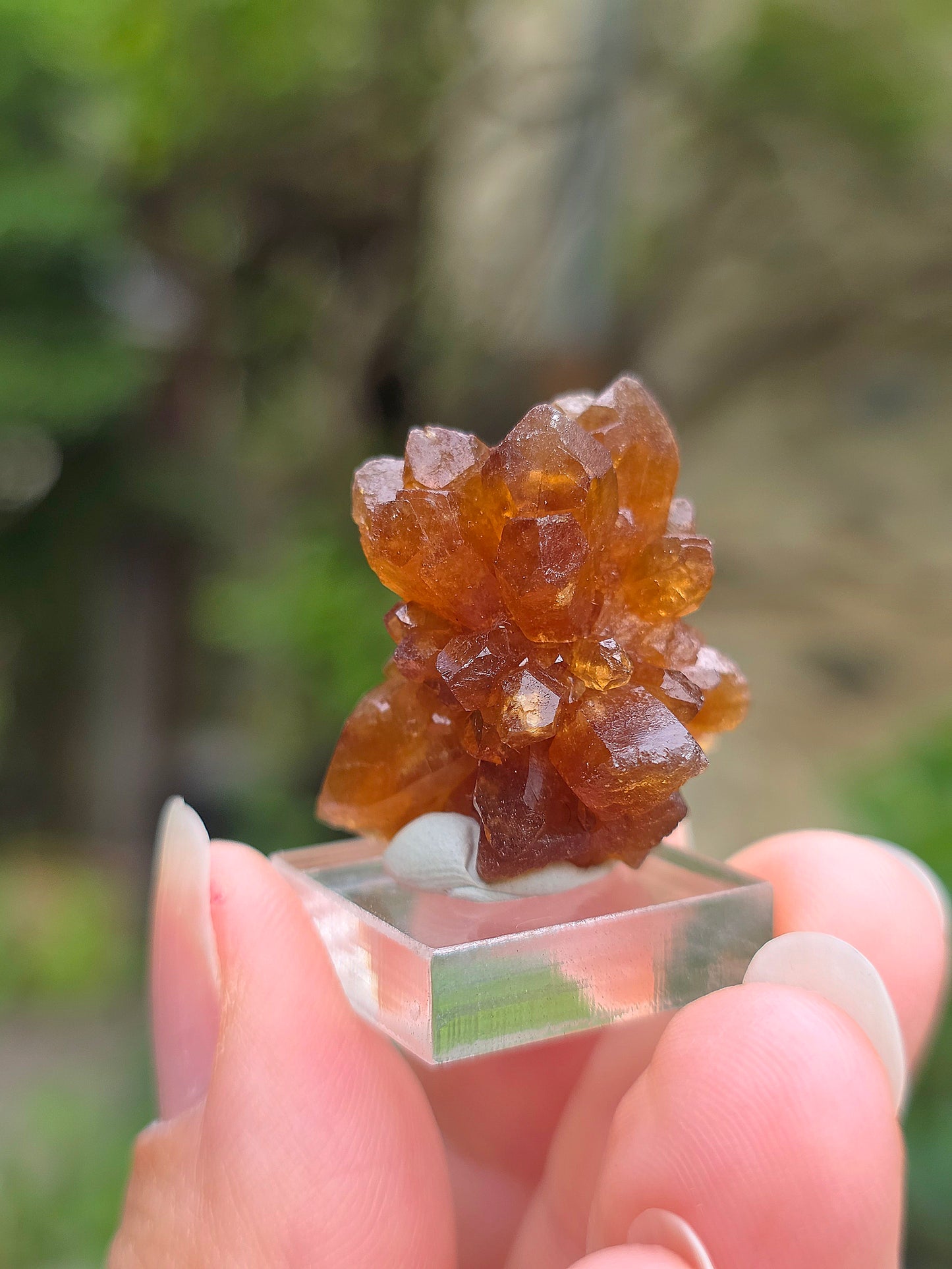 Quartz "citrine" ou "fleur de citrine" du Maroc