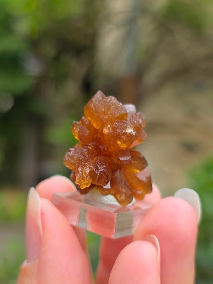 Quartz "citrine" ou "fleur de citrine" du Maroc
