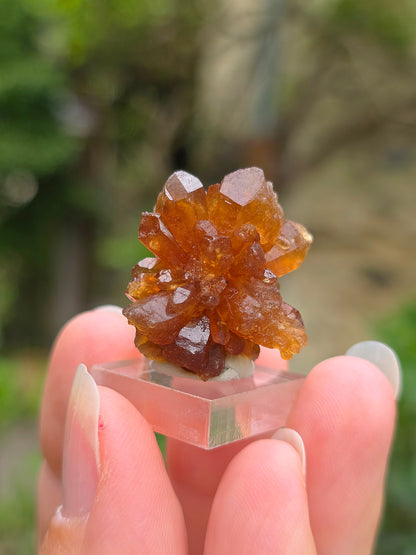 Quartz "citrine" ou "fleur de citrine" du Maroc