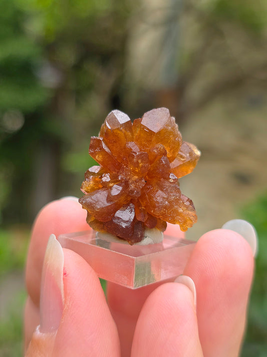 Quartz "citrine" ou "fleur de citrine" du Maroc