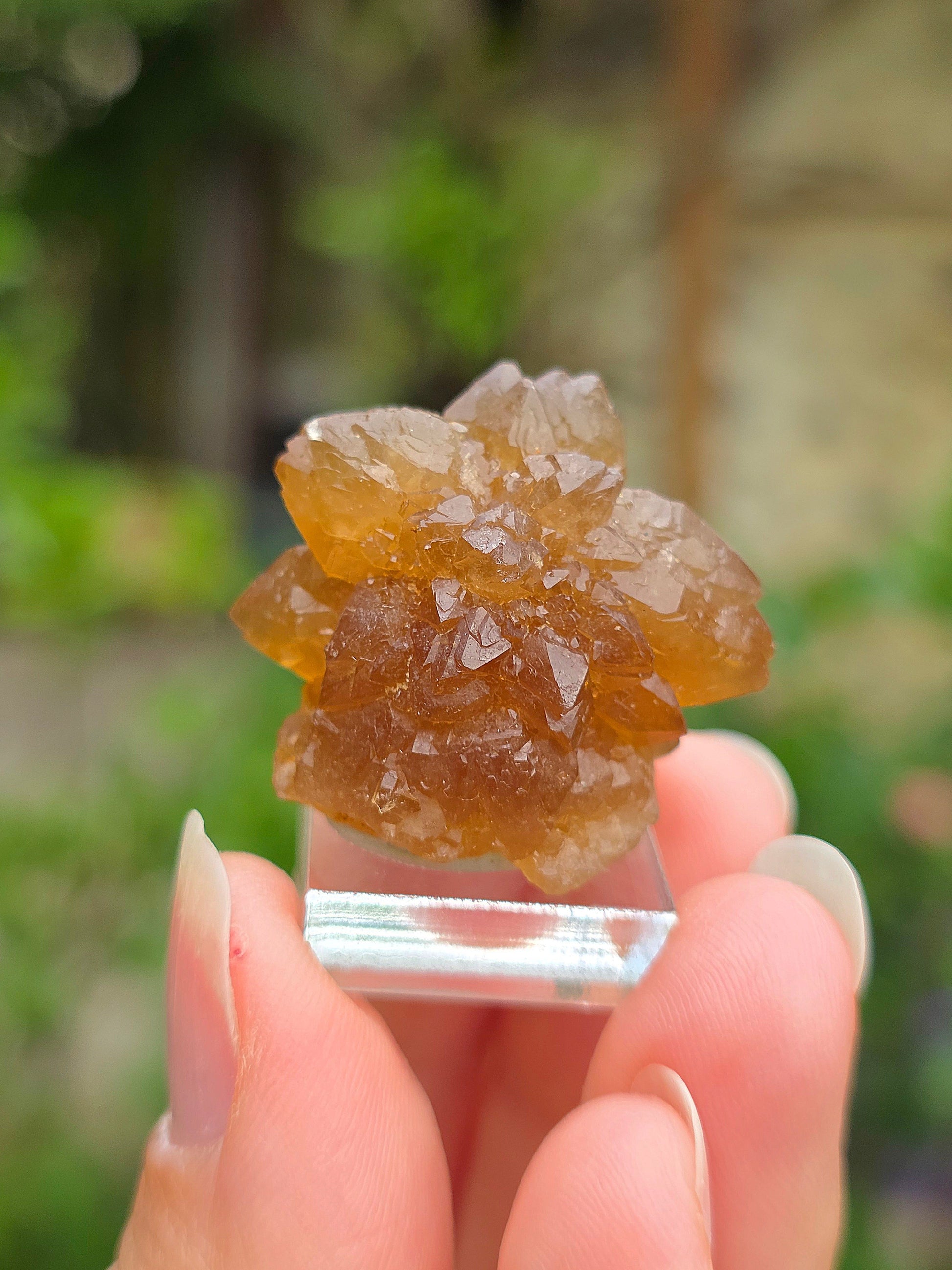  Quartz "citrine" ou "fleur de citrine" du Maroc 