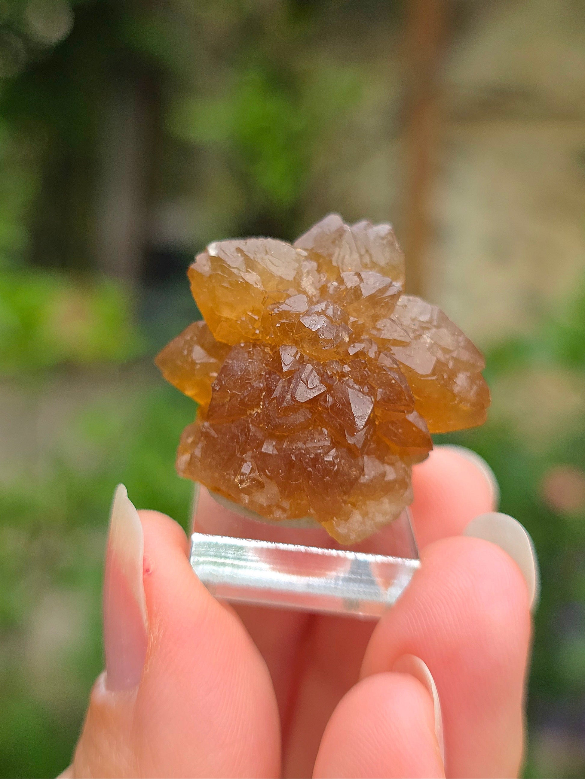  Quartz "citrine" ou "fleur de citrine" du Maroc 