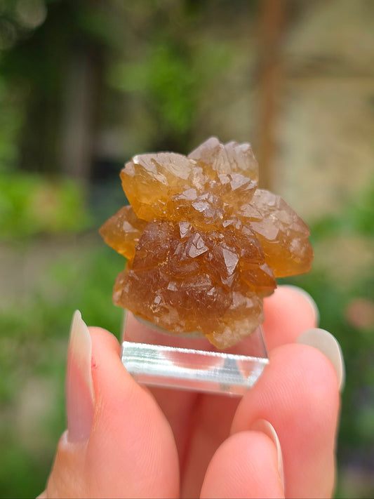  Quartz "citrine" ou "fleur de citrine" du Maroc 