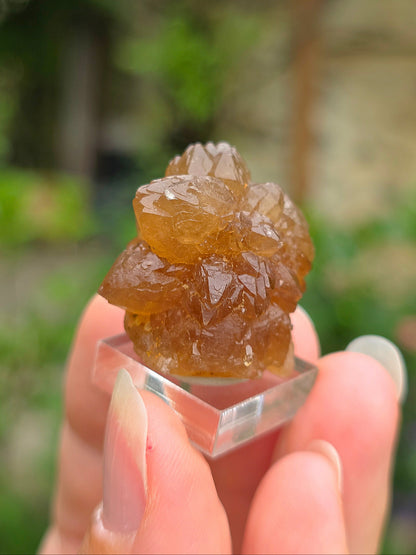  Quartz "citrine" ou "fleur de citrine" du Maroc 