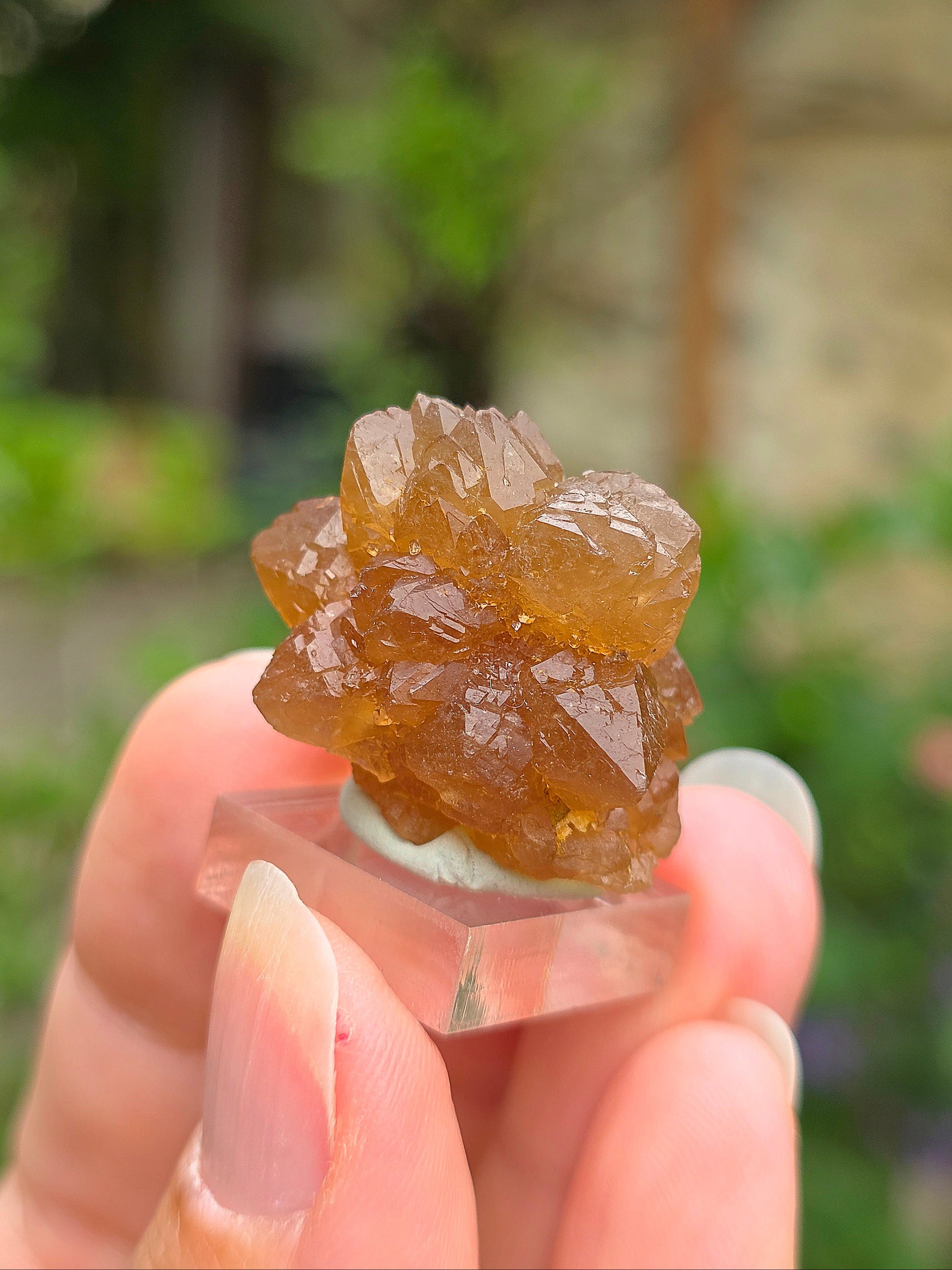  Quartz "citrine" ou "fleur de citrine" du Maroc 