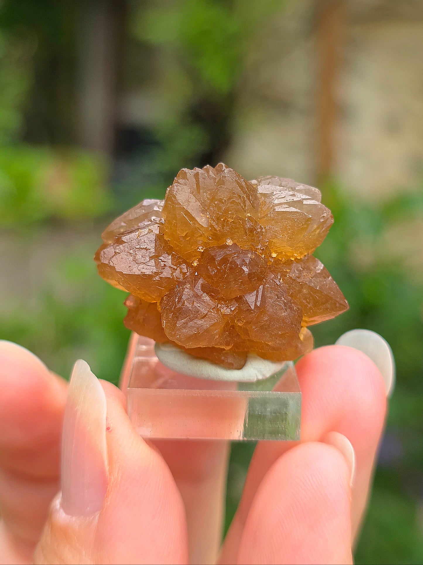  Quartz "citrine" ou "fleur de citrine" du Maroc 