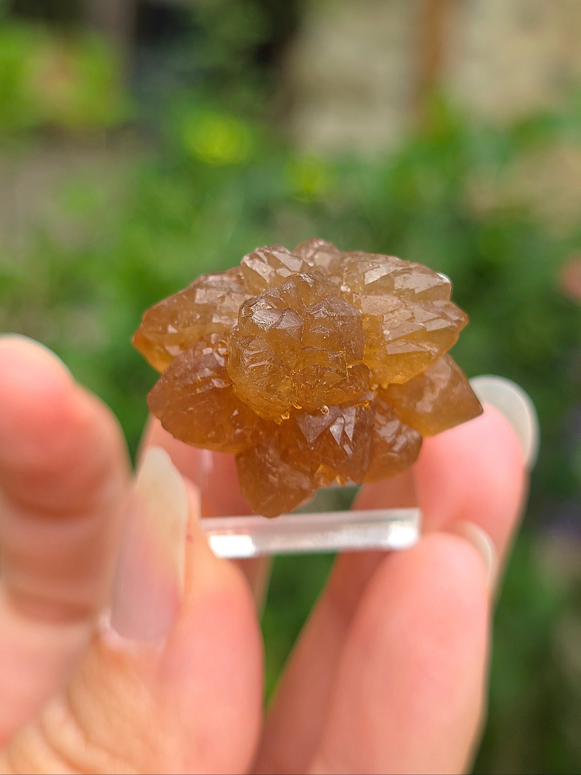  Quartz "citrine" ou "fleur de citrine" du Maroc 