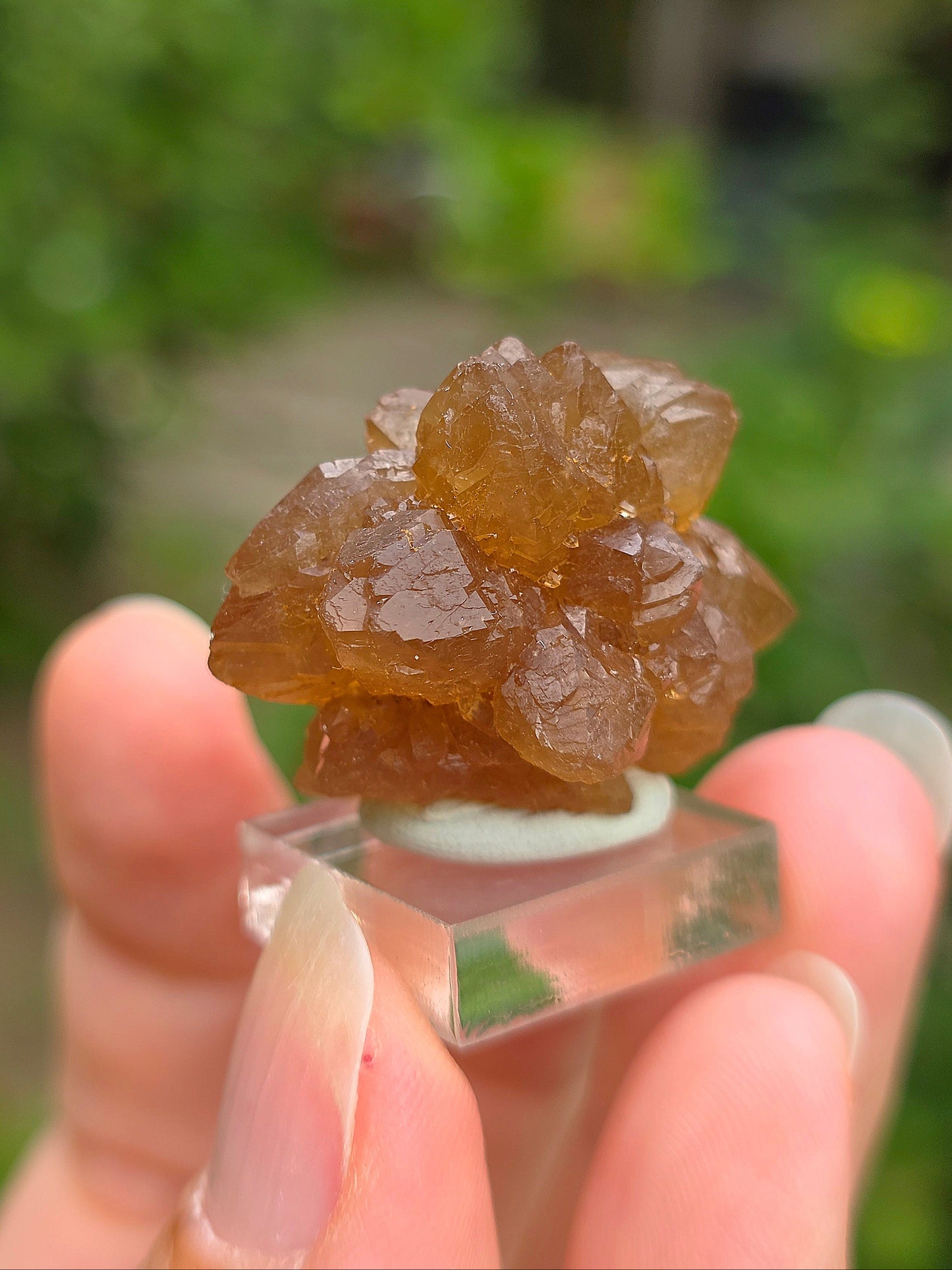 Quartz "citrine" ou "fleur de citrine" du Maroc 