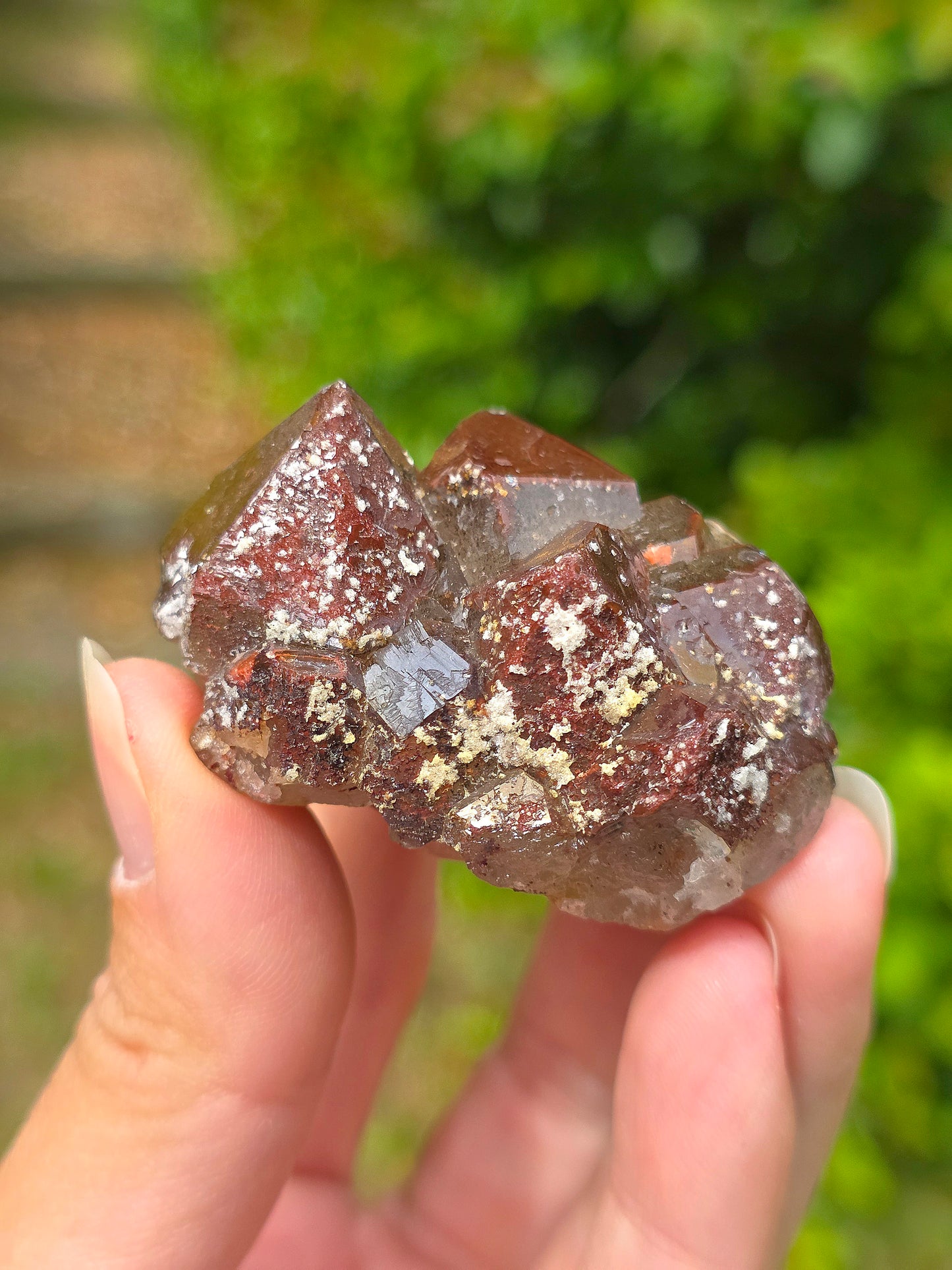  Quartz hématoïde brut du Maroc 