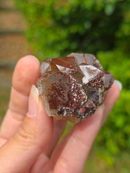  Quartz hématoïde brut du Maroc 