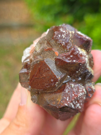  Quartz hématoïde brut du Maroc 