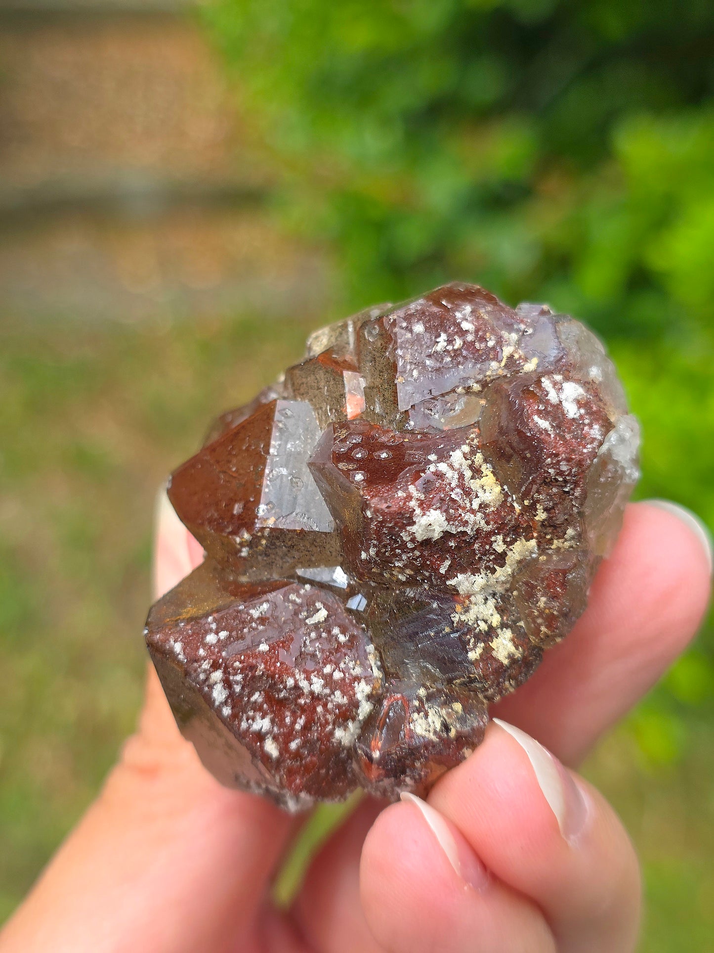  Quartz hématoïde brut du Maroc 