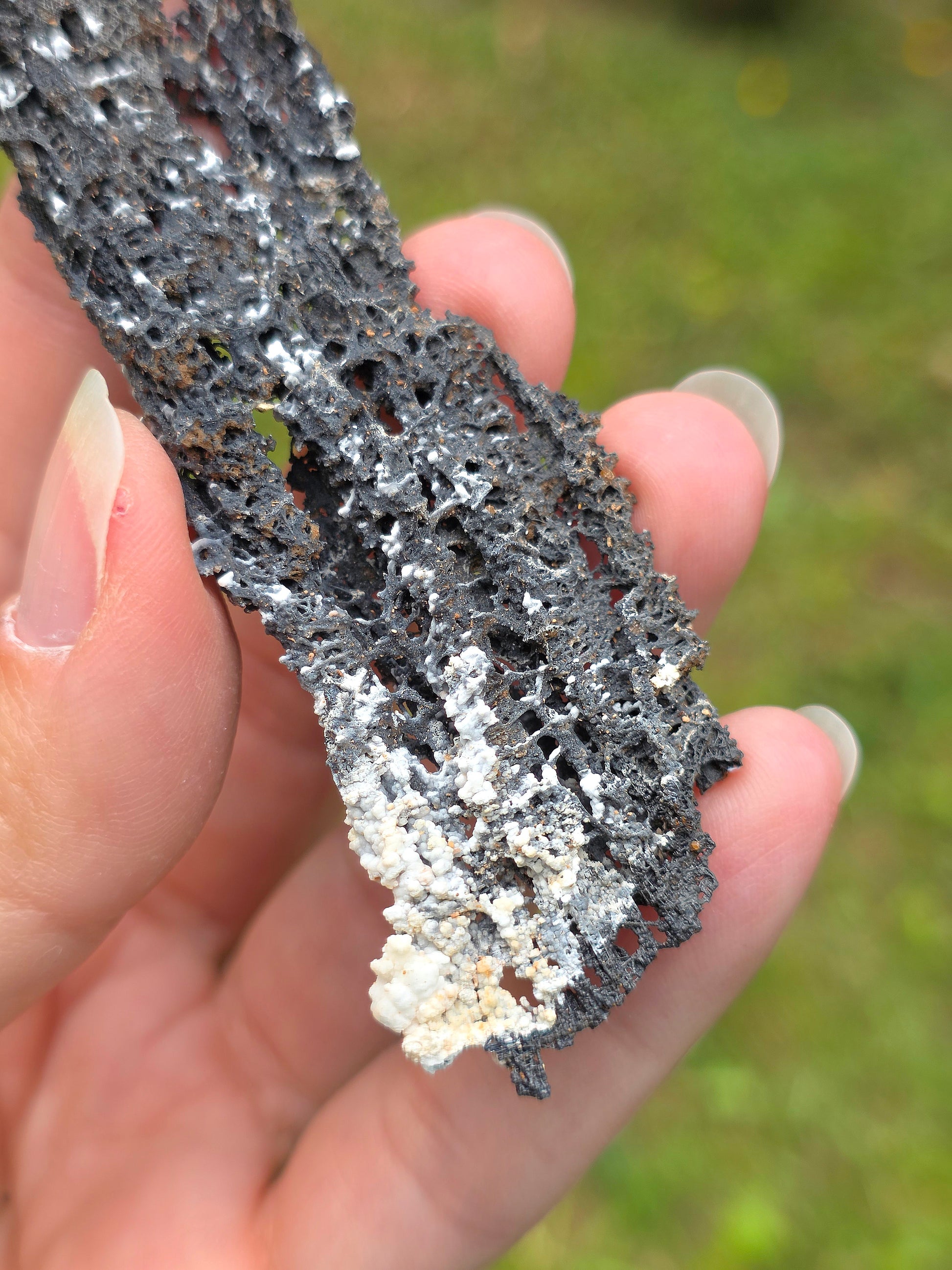 Goethite "dentelle" avec inclusions de Vanadinite