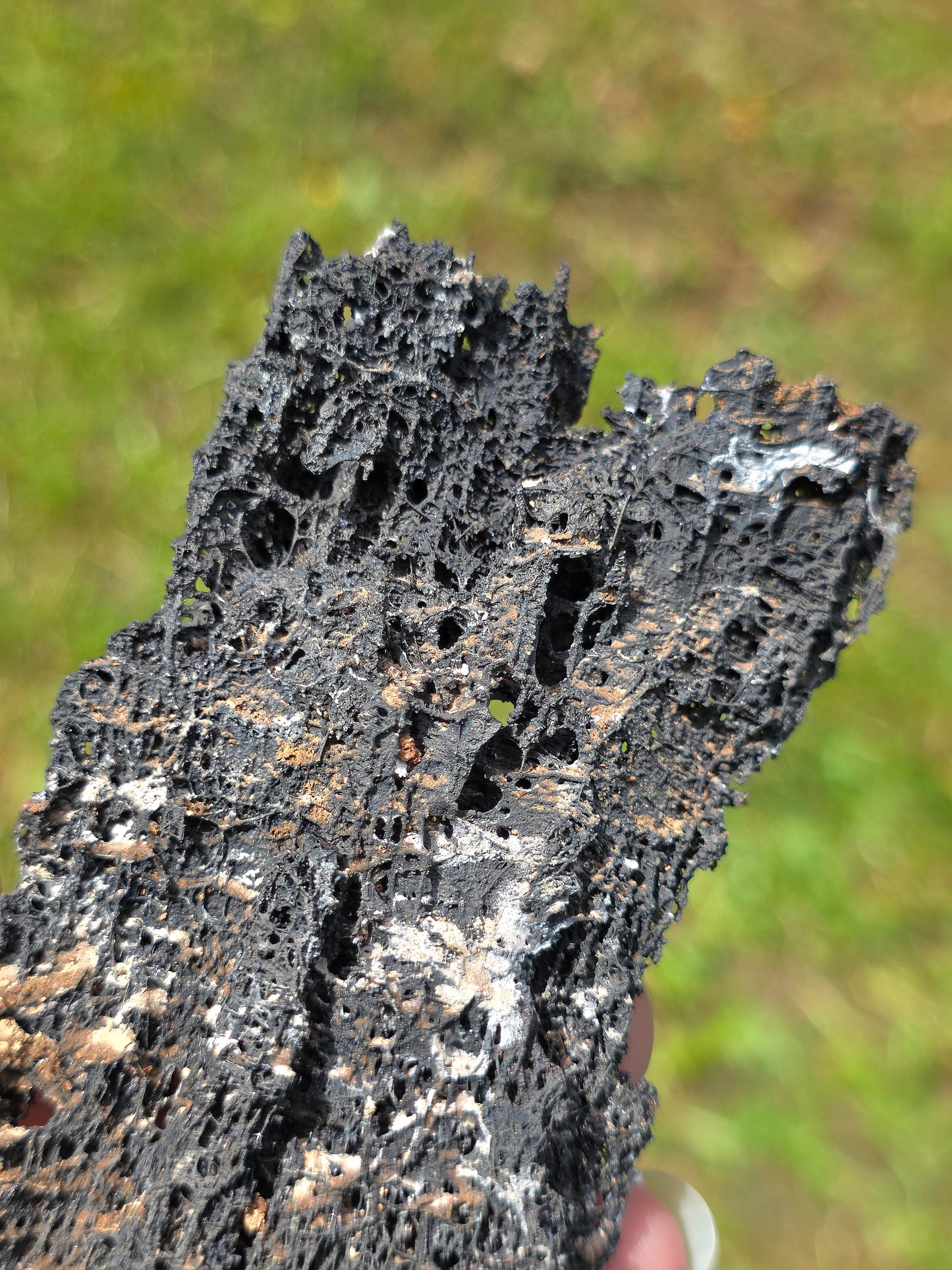 Goethite dentelle du Maroc avec Vanadinite