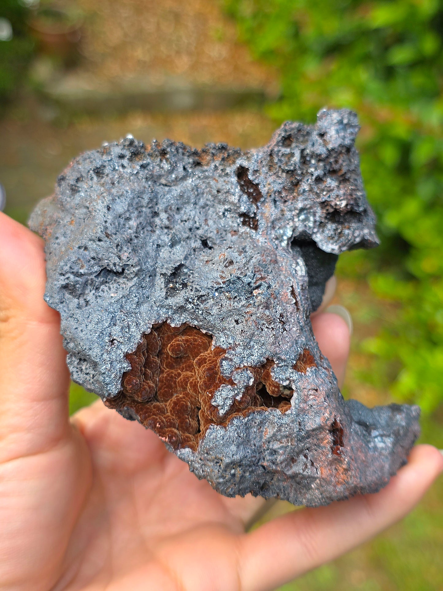 Goethite velours marron et botryoïdale du Tarn