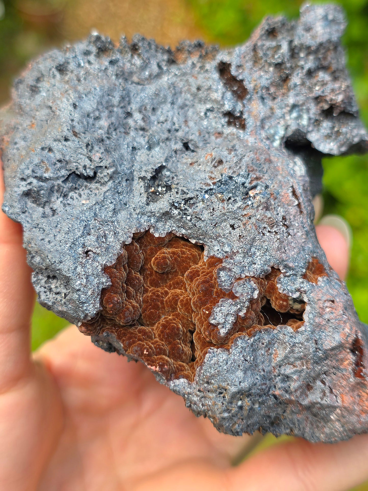 Goethite velours marron et botryoïdale du Tarn