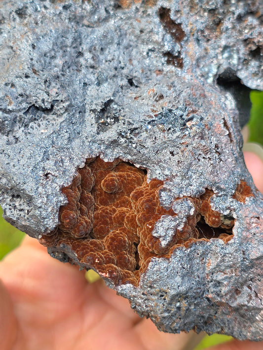 Goethite velours marron et botryoïdale du Tarn