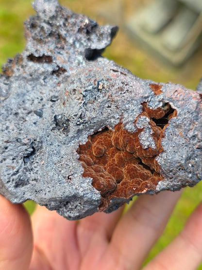 Goethite velours marron et botryoïdale du Tarn