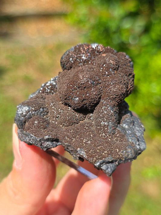 Goethite velours marron atypique du Tarn