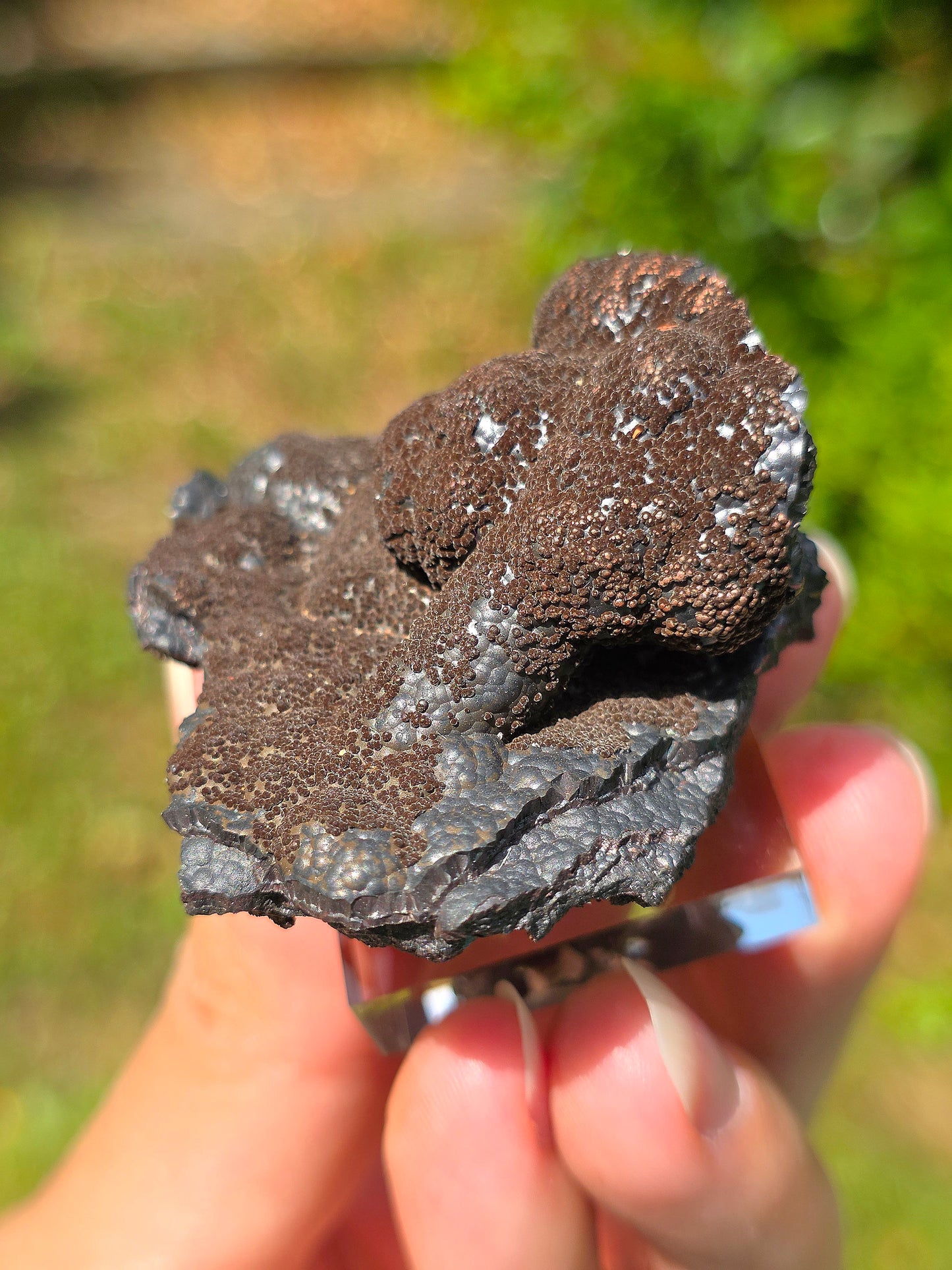 Goethite velours marron atypique du Tarn