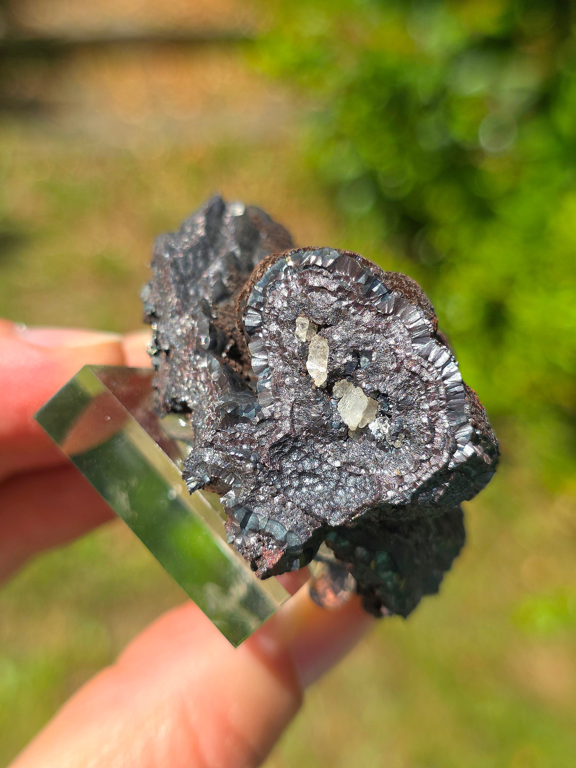 Goethite velours marron atypique du Tarn