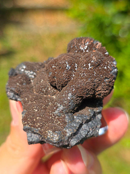 Goethite velours marron atypique du Tarn