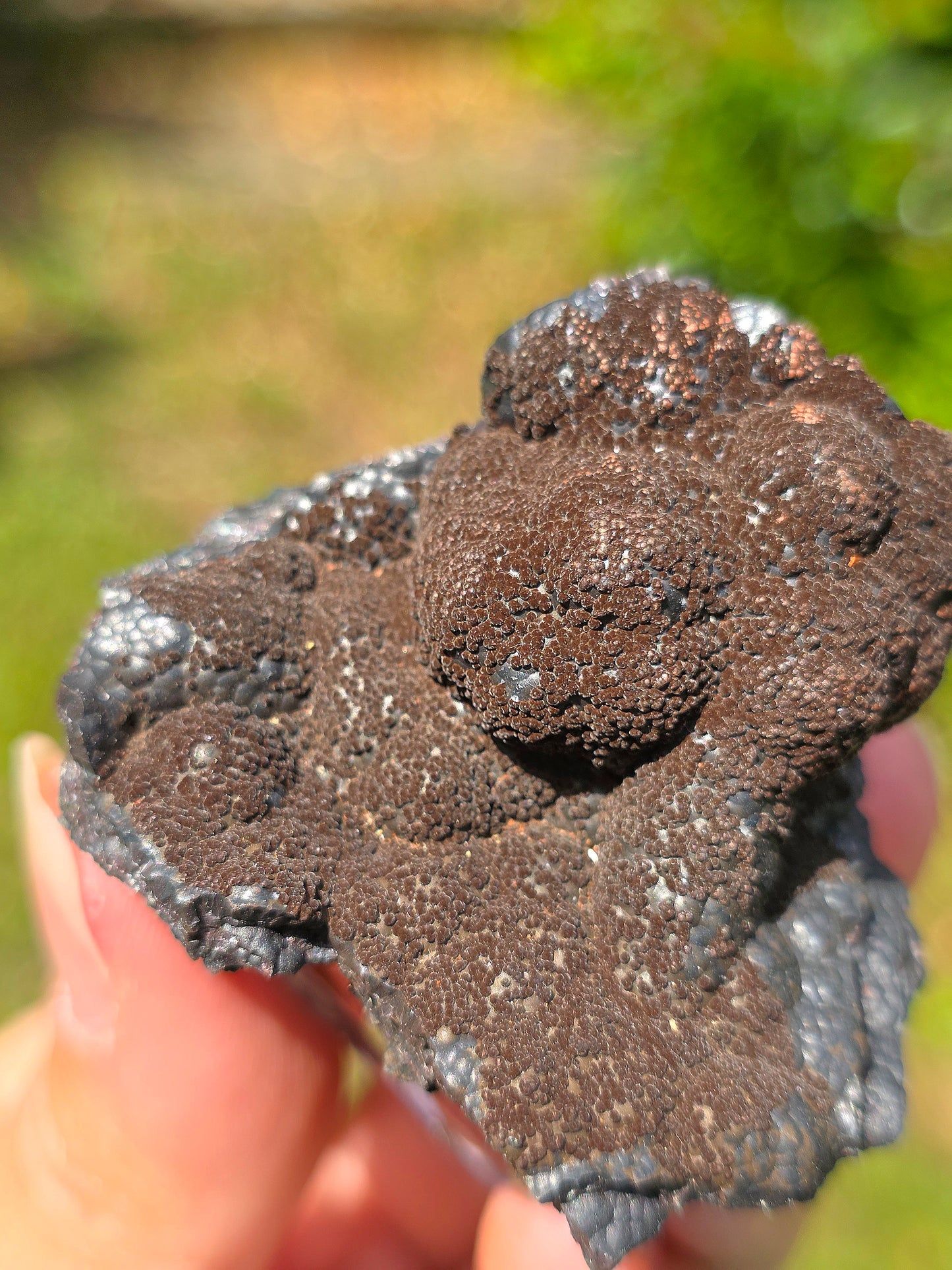 Goethite velours marron atypique du Tarn