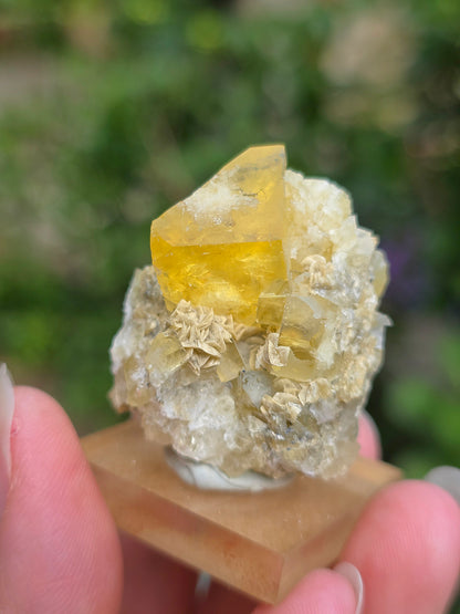  Fluorite jaune brute du Tarn