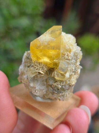  Fluorite jaune brute du Tarn