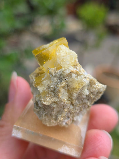  Fluorite jaune brute du Tarn
