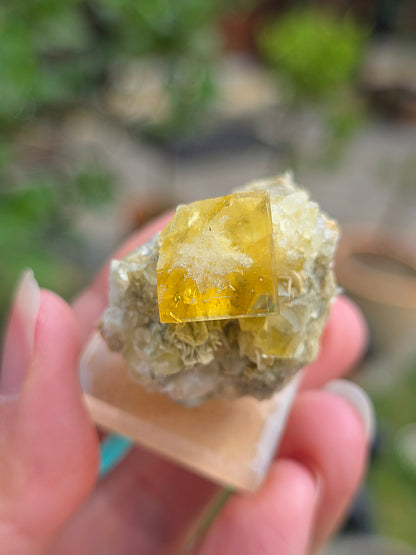  Fluorite jaune brute du Tarn