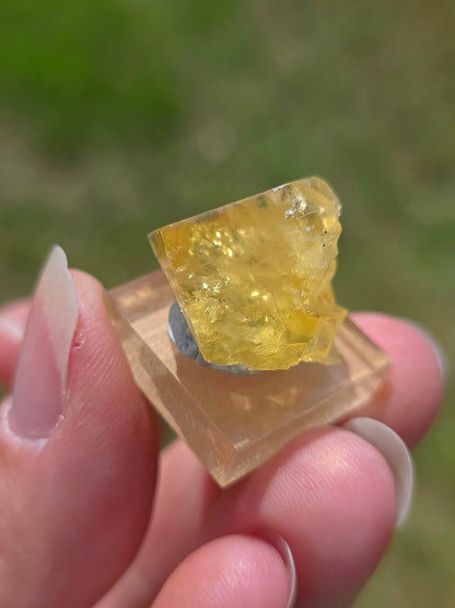 Fluorite jaune brute du Tarn
