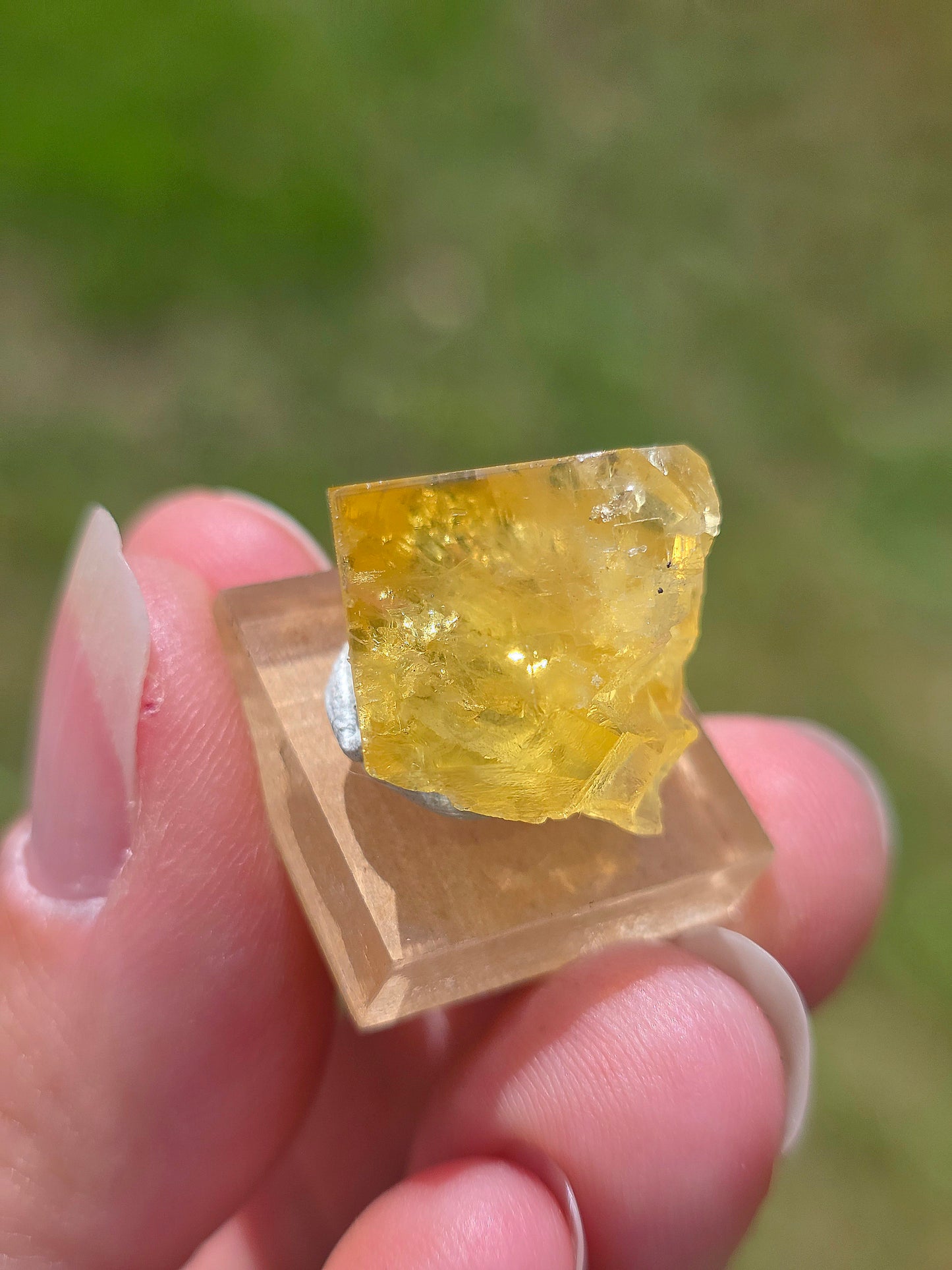 Fluorite jaune du Tarn