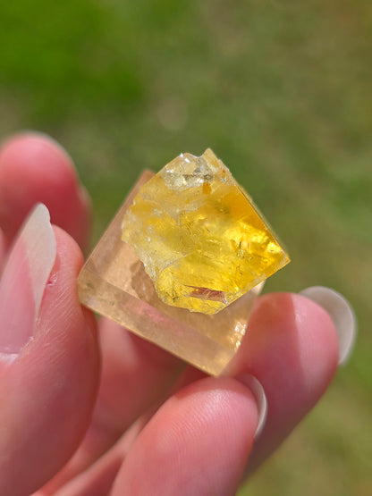 Fluorite jaune du Tarn