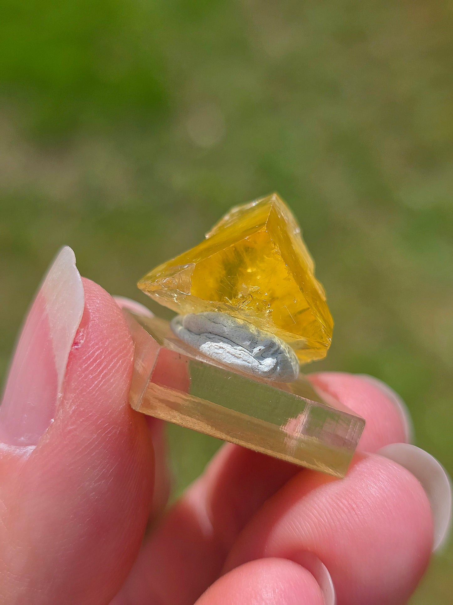 Fluorite jaune du Tarn